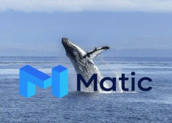 28 Milyon MATIC Balinalar Tarafından Alındı ve Satıldı