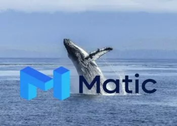 28 Milyon MATIC Balinalar Tarafından Alındı ve Satıldı