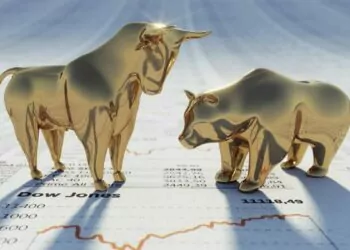 Boğa Piyasası Nedir?