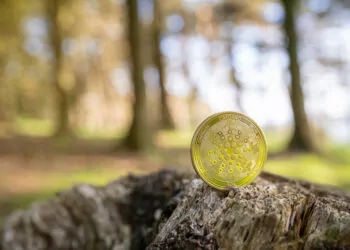 Cardano 1 Milyon Ağaç Dikme Hedefine Ulaştı