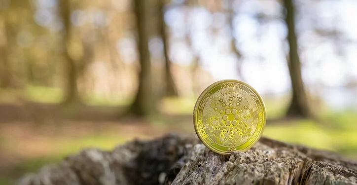 Cardano 1 Milyon Ağaç Dikme Hedefine Ulaştı