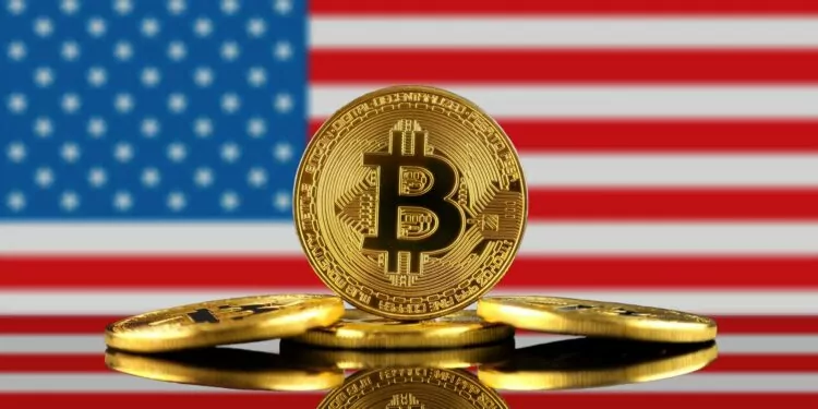 ABD’de Kripto Yatırımları 2021’de Arttı