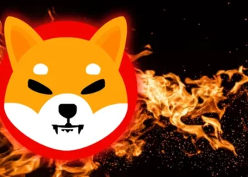 259 Milyar SHIB Yakıldı ve Her Hafta Yakma İşlemleri Devam Edecek