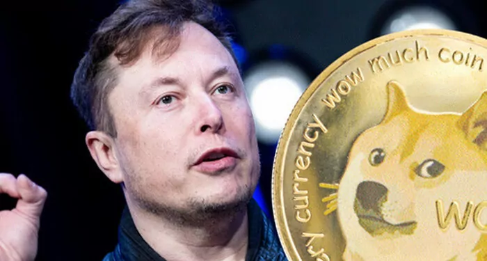 Ethereum Balinası Dogecoin Aldı