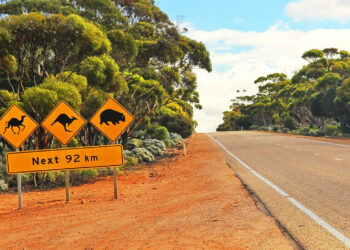 Avustralya Futbol Ligi, Crypto.com İle 25 Milyon Dolarlık Anlaşma Yaptı