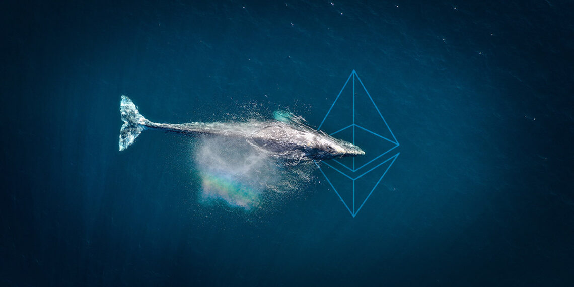 ethereum balinaları en çok bu altcoinleri alıyor!