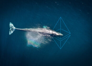 Ethereum Balinaları Bu Coinleri Alıyor