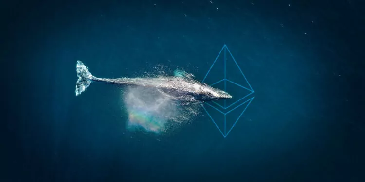 Ethereum Balinaları En Çok Bu Altcoinleri Alıyor! 1 Ethereum Balinaları En Çok Bu Altcoinleri Alıyor!
