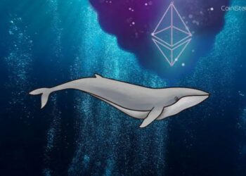 Ethereum Balinaları Düşüşte Toplamaya Devam Ettiler ethg