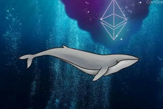 İşte Ethereum Balinalarının Topladığı 3 Kripto Para! 1 Ethereum Balinası 14.1 Milyon Dolarlık Alım Gerçekleştirdi