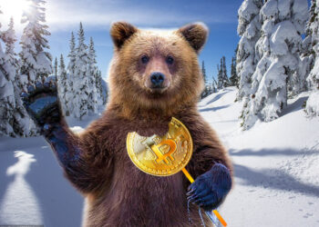 Kripto Para Piyasası Ayı mı Yaşıyor?