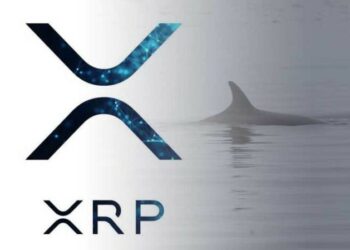 Balina Tarafından 40 Milyon Dolarlık XRP Çekildi