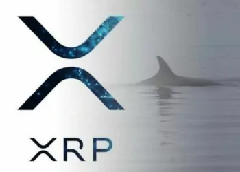 Balina Tarafından 40 Milyon Dolarlık XRP Çekildi