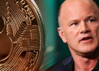 Mike Novogratz “Ayı” Uyarısında Bulundu