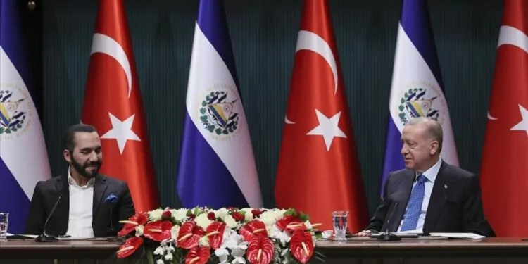 Cumhurbaşkanı Erdoğan Ve Nayib Bukele Görüşmesinin Detayları 1 Cumhurbaşkanı Erdoğan Ve Nayib Bukele Görüşmesinin Detayları