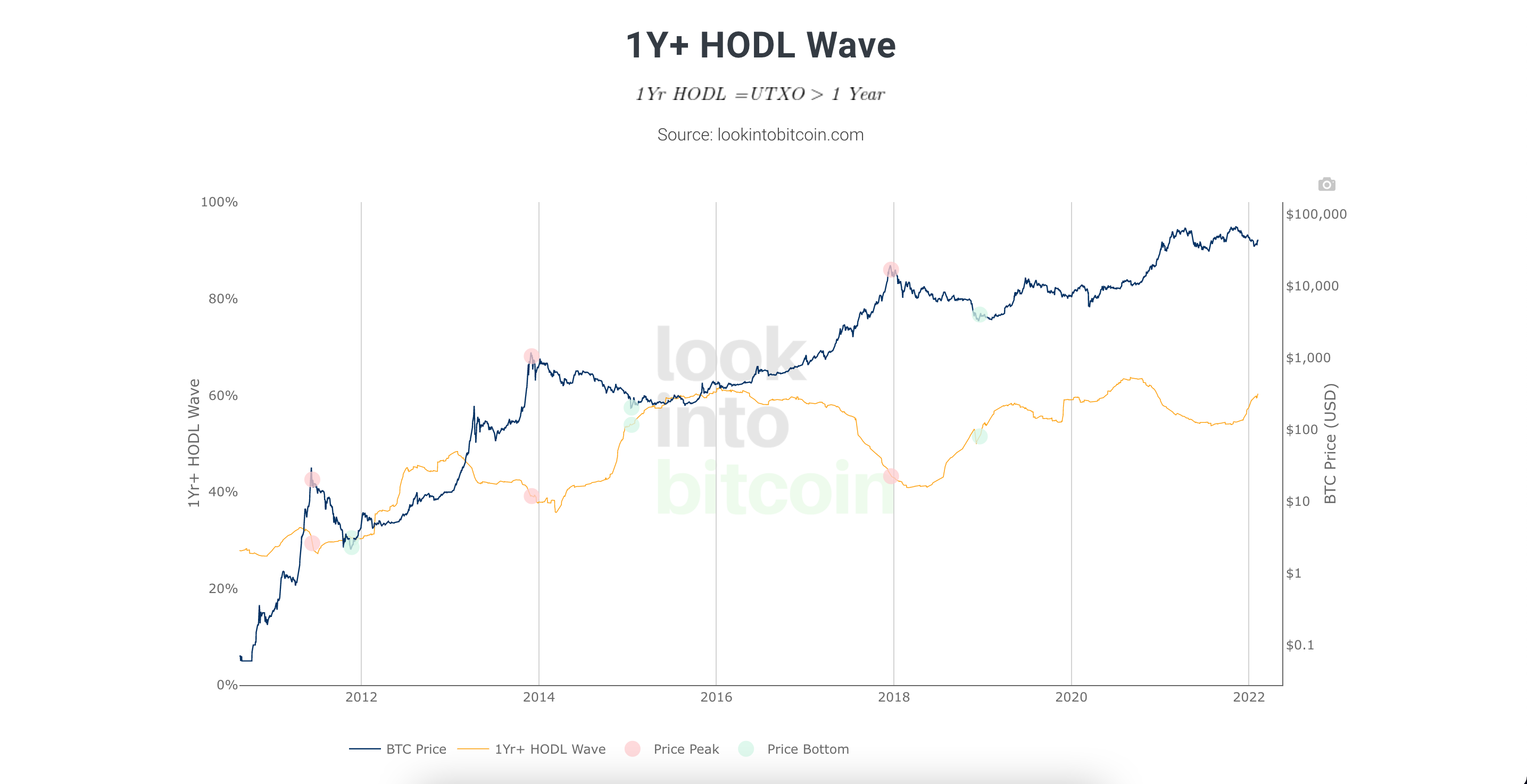 1Y+ HODL Wawe Ekran Resmi 2022 02 08 16.28.15