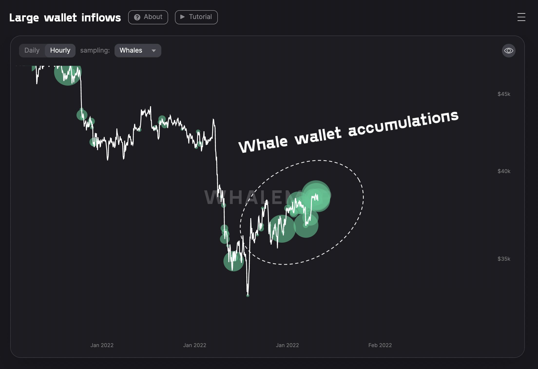 bitcoin balinaları toplu alım yapıyor whale comprano btc a 38000 supply per whale raggiunge il