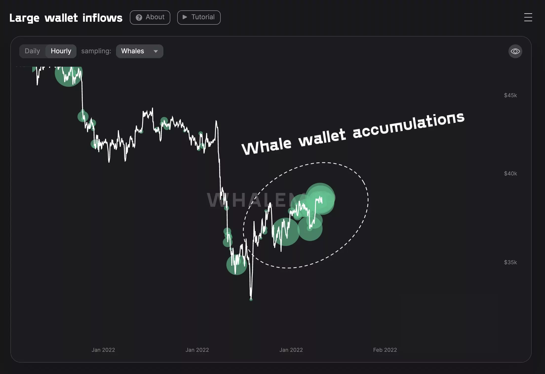Bitcoin Balinaları Toplu Alım Yapıyor Whale comprano BTC a 38000 supply per whale raggiunge il