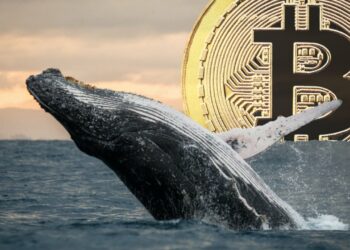 Bitcoin Balinaları Biriktirmeye Devam Ediyor