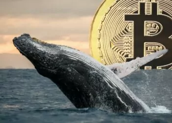 Bitcoin Balinaları Biriktirmeye Devam Ediyor