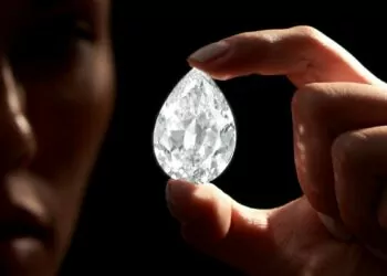 Dünyanın En Büyük Siyah Elması 4.3 Milyon Dolar Değerinde Kripto ile Satın Alındı