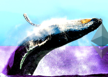 İşte Ethereum Balinalarının En Çok Ticaret Yaptığı Altcoinler!