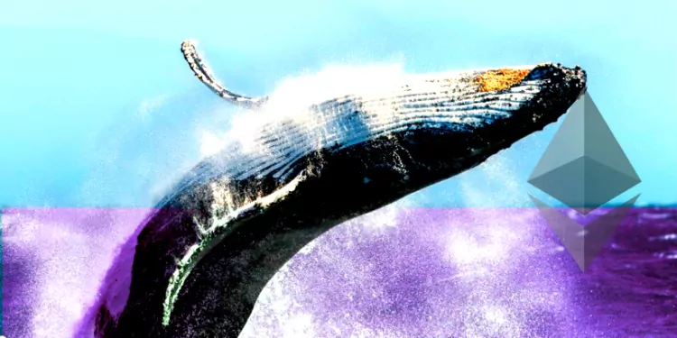 İşte Ethereum Balinalarının En Çok Ticaret Yaptığı Altcoinler! 1 İşte Ethereum Balinalarının En Çok Ticaret Yaptığı Altcoinler!