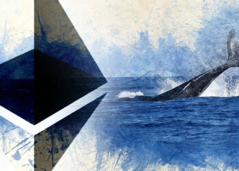 Ethereum Balinaları Son 24 Saatte En Çok Şu Altcoinleri Aldı