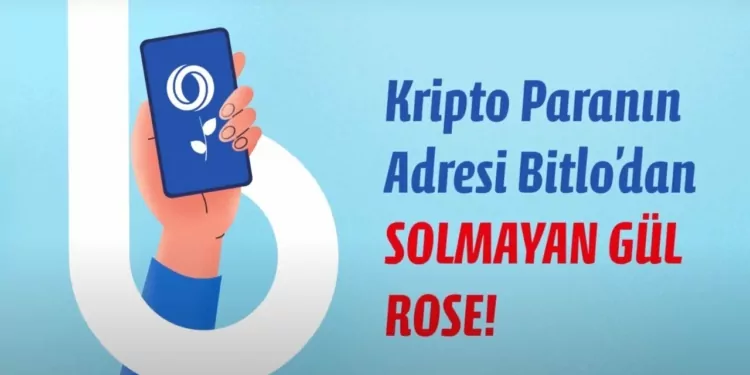 Tercihlerine göre hangi kripto para olduğunu tahmin ediyoruz!