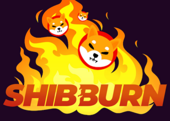 Geçtiğimiz Hafta Yakılan SHIB Token Sayısı!
