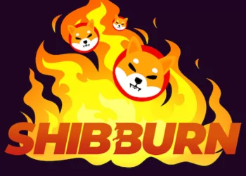 Geçtiğimiz Hafta Yakılan SHIB Token Sayısı!