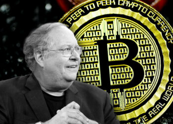 “Bitcoin Finansal Felakete Karşı Sigortadır”