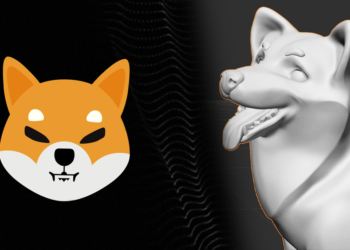 Shiba Inu Geliştiricilerinden Decentraland'a Rakip Olacak Bir Uygulama!