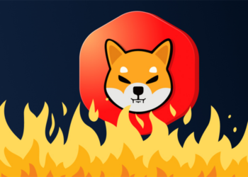 İşte Son 24 Saatte Yakılan SHIB Token Miktarı