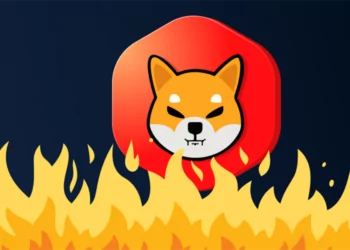 İşte Son 24 Saatte Yakılan SHIB Token Miktarı