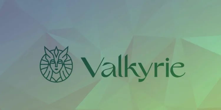 Valkyrie Investments, Blockchain Projeleri İçin Hazine Yönetim Hizmeti Sunacak