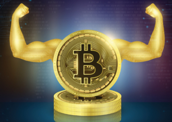 11 Yıl Sonra Hareket Eden Cüzdanda 489 Bitcoin Bulunuyor!