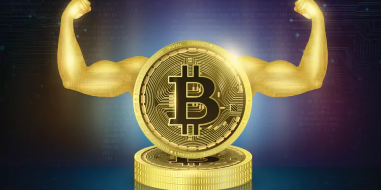 11 Yıl Sonra Hareket Eden Cüzdanda 489 Bitcoin Bulunuyor!