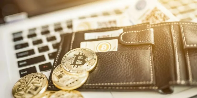 Maaşınızı Kripto Parayla Almak İster miydiniz? Rakamlar Kriptoya Eğilimin Arttığını Gösteriyor