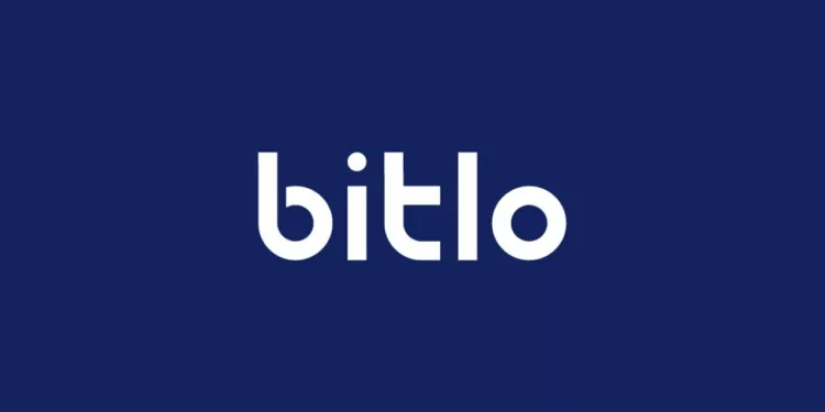 Bitlo-Türkiyenin En Büyük İnternet Şirketleri Arasında