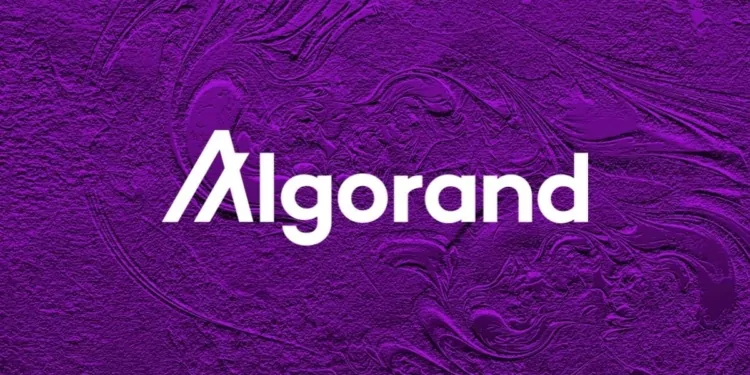 Algorand Kurucusu Silvio Micali: Hız 10 Kat Artacak