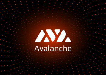 “Avalanche Blockchain” Wirex Ödeme Ekosisteminde 4,5 Milyon Kullanıcıya Ulaştı