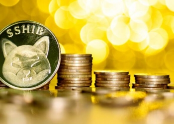 Avustralya Merkezli Enerji Şirketi, Shiba Inu Ödemelerini Kabul Edecek