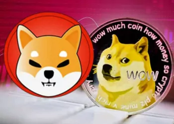 Dogecoin Kurucusu, Shiba Inu Metaverse projesini Hedef Aldı!