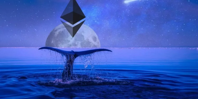 Ethereum Balinaları ApeCoin Satın Alıyor!