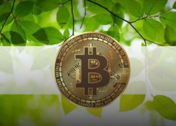 Greenpeace ve Ripple Kurucu Ortağı Bitcoin’in Kodunu Değiştirmek İçin Çalışıyor