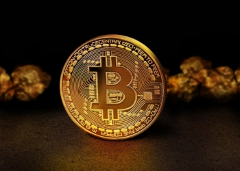 MicroStrategy’nin Yan Kuruluşu Bitcoin Almak İçin 205 Milyon Dolarlık Kredi Aldı