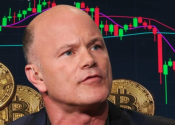Mike Novogratz: Bitcoin Para Birimi Olmaya Uygun Değil