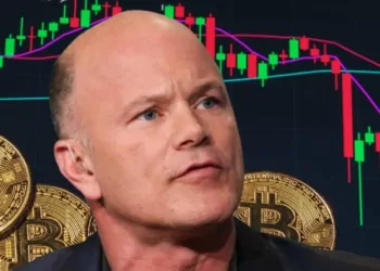 Mike Novogratz: Bitcoin Para Birimi Olmaya Uygun Değil