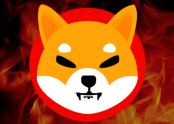 İşte 2021 Ekim Ayından Bu Yana Yakılan Shib Token Sayısı!